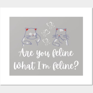 Are you feline what I'm feline? Posters and Art